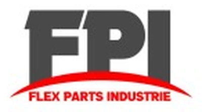 FPI — Flex Parts Industrie